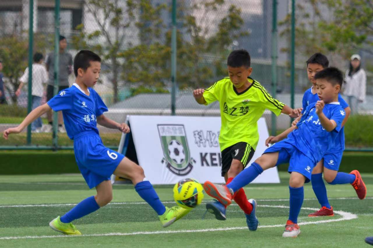 续发展壮大 续发展壮大