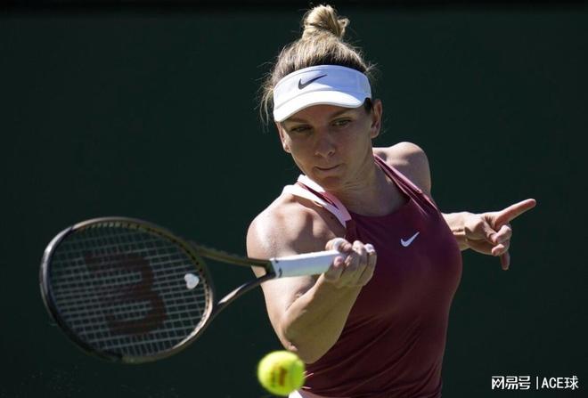 以全面发挥 以全面发挥