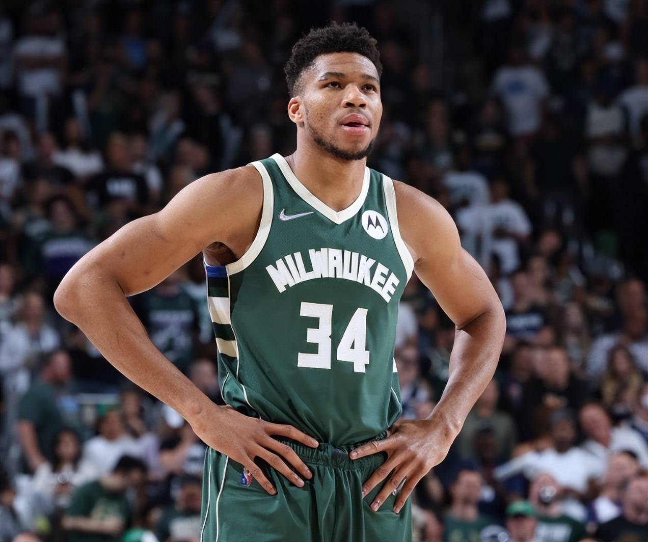 价格窗口 价格窗口